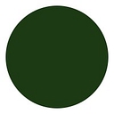 Seed